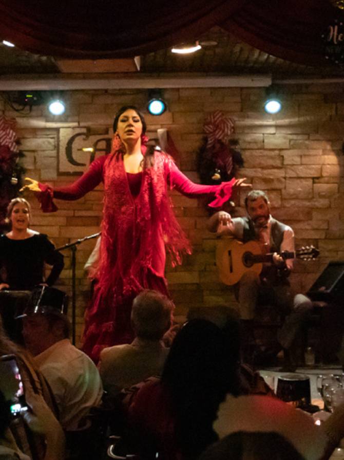 flamenco-fixed